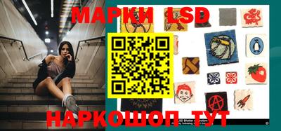 сатива Будённовск