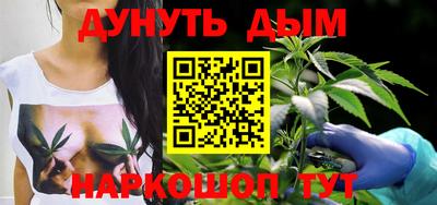 сатива Будённовск
