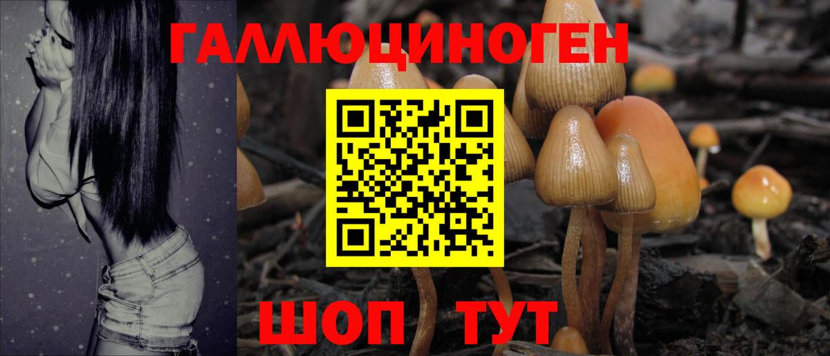 Галлюциногенные грибы прущие грибы  Вход с VPN  Костомукша 